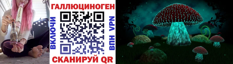 продажа наркотиков Комсомольск Псилоцибиновые грибы Magic Shrooms